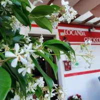 Locanda Chiocciola By Manuel Ronzani, hotel en Quero