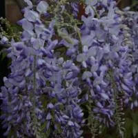 5 Charlton Mill Way B&B, hotel a Chichester
