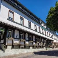 Hotel Grüner Baum, hotel v destinaci Bühlertal
