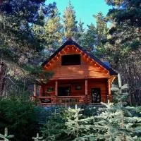 Yeghevni Rest House, hotel v destinaci Jermuk