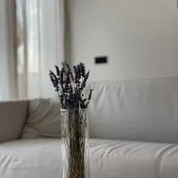 Römer Apartment und Zimmer, hotell i Türkheim