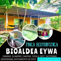 Finca turisrica bioaldea eywa todo un oasis