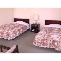 Business hotel Green Plaza - Vacation STAY 43971v