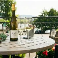 Weingutshotel Piesporter Goldtröpfchen, hotel a Piesport