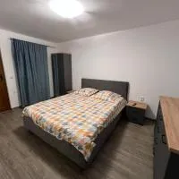 CASA ANDREI, hotel v destinaci Cîrţişoara