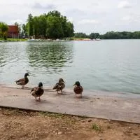 noclegi u zabki, hotel em Ełk