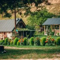 Etno vodenica Ćirović - Ethno Watermill, hotel u gradu Pljevlja