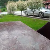 Vila Nenad Ovčar banja, hotel u Čačku
