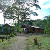 Cabinas casa jungla