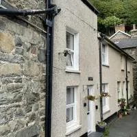 Glanywerydd Cottage, hotel u gradu Barmut