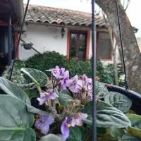 Hotel Boutique Casabella, отель в городе Коатепек
