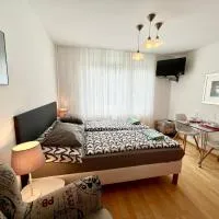 Apartmán u lesa, Srní 119, hotel en Srní