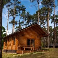 Osada Lubniewice - Domki letniskowe nad samym jeziorem na wynajem 2-8osób, hotel i Lubniewice