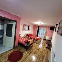 Miselin Apartmani, Hotel in Vladičin Han