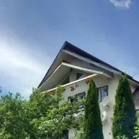 PERLA CĂLIMANILOR, hotel in Vatra Dornei