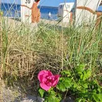 Taubennest, hotel u gradu Waabs
