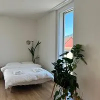 Balsthal में, होटल The R Apartment Passwang, Balkon, Kostenloses Indoor-Parking