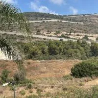 במורד ההר, hotel di Shlomi