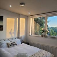 Astral 1 BR Flat in London AS36