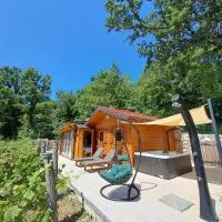 Vineyard house, hotel em Grižane