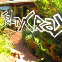 Saltycrax Backpackers and Surf Hostel, Hotel in Bloubergstrand