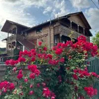 La Curtea Veche，Lăpuş的飯店