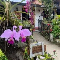 Casa Trebol Hospedaje en Venecia Sumapaz, hotel a Venecia