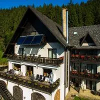 Bucovina Lodge Pension, ξενοδοχείο σε Vama