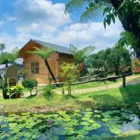 Di Linh में, होटल AN Homestay&coffee