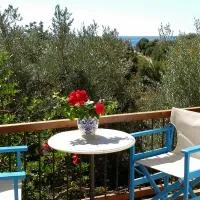 Olive tree Cottages, hotel Paleohórában