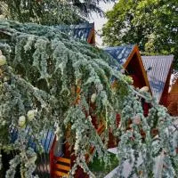 Planinske Kuće Grocka, отель в городе Grocka