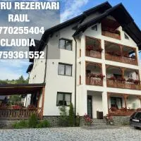 Casa Maramureșană, hotel u gradu 'Vişeu de Sus'