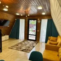 Heart of Surami, hotell i Surami