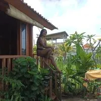 Ayolah surf House and Surfcamp – hotel w mieście Jembrana
