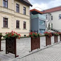 Paderewskiego 9 Aparth, hotel i Leszno