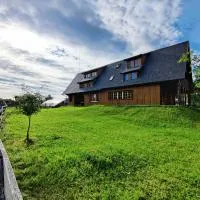 Pensiunea Casa Alexandra, hotel em Lunca Ilvei