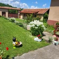 Casa Izvorul Rece, hotel sa Hobiţa