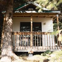 Cabin 3 Lynn View Lodge, отель рядом с аэропортом Haines - HNS в Хейнсе