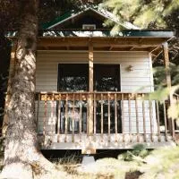 Cabin 3 Lynn View Lodge, отель в Хейнсе