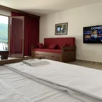 Dunavska Vila Milosavljevic, hotel din Donji Milanovac