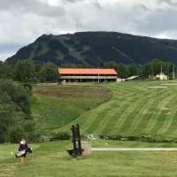 Ljusnedal lägenhet med golf, paddel, fiske och skidåkning，Ljusnedal的飯店