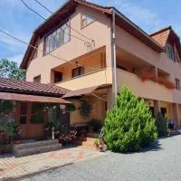 Pensiunea Apuseni, hotel sa Vidra