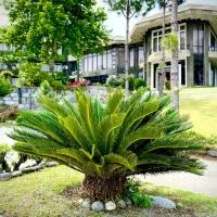 Rock City Resort, viešbutis mieste Mingora