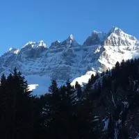Family friendly appt on the slopes – hotel w mieście Les Crosets