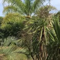 Mare è Monte , jardin méditerranéen et exotique., hotel em Ghisonaccia