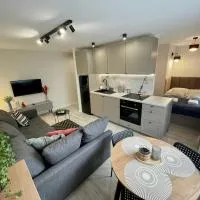 Piękny przytulny apartament - blisko akwenu wodnego, hotel in Radom