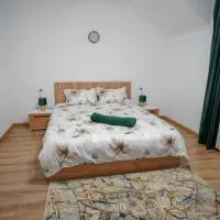 La 2 pruni, hotel u gradu Berindan