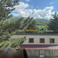 Sochiner Hotel, hotel en Vanadzor