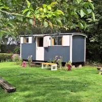 Pipowagen op natuurcamping、Weddeのホテル