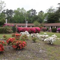 Azalea Inn & Suites, hotel near Wilmington International Airport - ILM, Wilmington